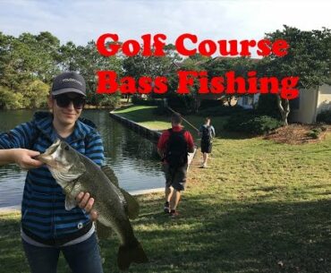 Giant Bass on Florida Golfcourse - December VLOG#21