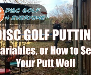 Disc Golf Putting: Variables, or How to See Your Putt Well