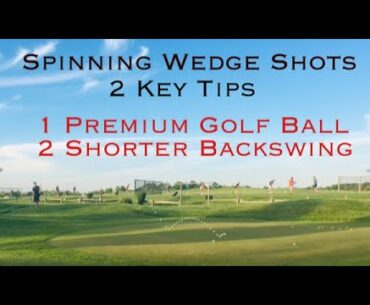 Spin Wedge Shots