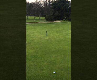 Quiz 10 (The Rules of Golf). Ball on putting green with blue stake