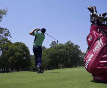 Wilson Staff - D300 Driver/Woods