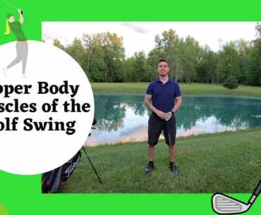 UPPER BODY MUSCLES OF THE GOLF SWING