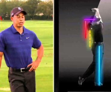 About Tiger Woods: My Swing for iPhone
