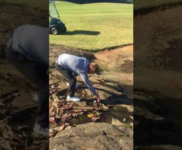 Golf's new rules: Moving loose impediments in a hazard