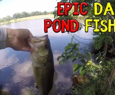 Epic Day of Pond Fishing for Bass -"Backyard Fishing"