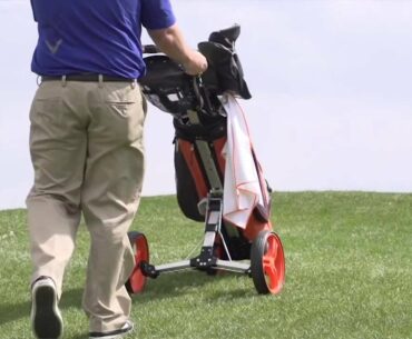 Alphard Golf Duo Cart