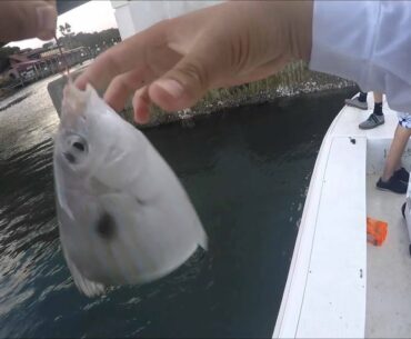 Fishing for Sheepshead and Snook inshore