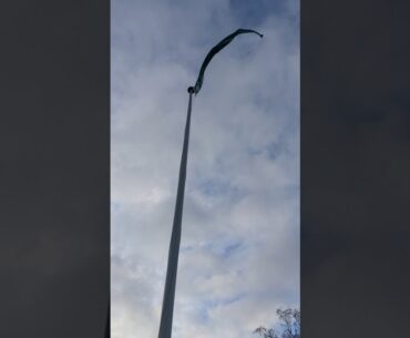 Quiz 15 (The Rules of Golf). Relief without penalty from flagstick