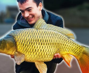RIDICULOUS carp fishing action at the village pond !