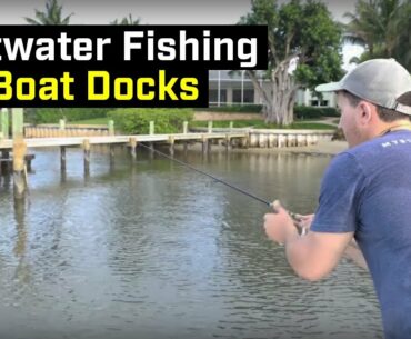 Inshore Saltwater Fishing Tips For Multiple Species!