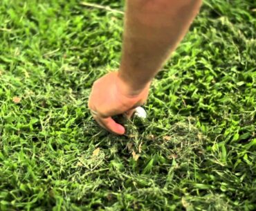 Golf Queensland Rules of Golf - Loose Impediments