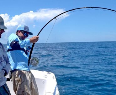 Attempting the Impossible! Goliath Grouper on Fly Fishing Tackle