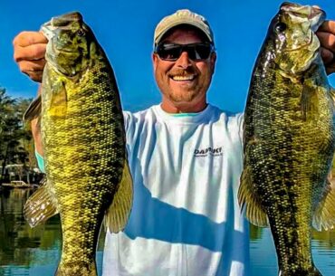 How to Catch Big Bass & Win Fishing Tournaments
