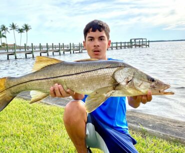Big SNOOK Caught On Light Gear