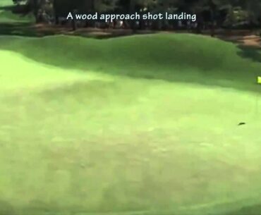 Hybrid vs Wood approach landing