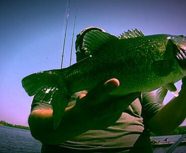 Big Bass Bonanza