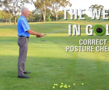 Genesis Golf Link Cup Tip #3 - Correct posture with Peter Knight