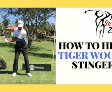 HOW TO HIT THE TIGER WOODS STINGER