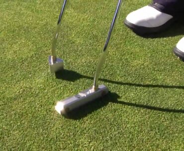 Dualink Golf All-in-One Putter and Putting Trainer