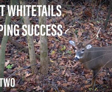 Mapping Success - Whitetail Deer Hunting Part Two