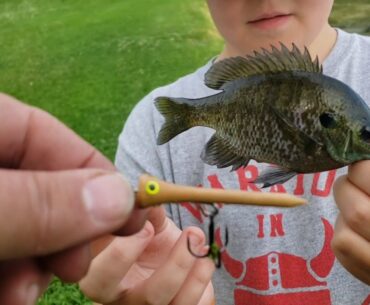 Will a Fish eat a Golf Tee?