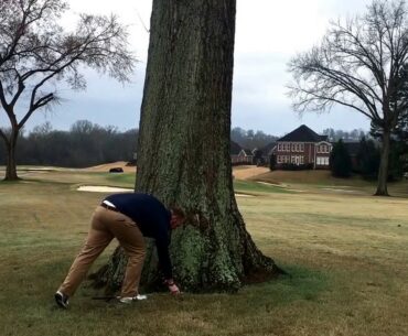 Rules of Golf- Unplayable Ball