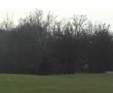 Backhand S-Curve Disc golf drive