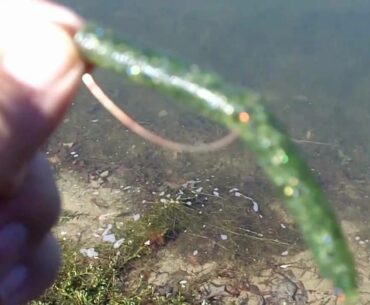Bass Fishing in January 2011