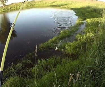 FARM POND FISHING