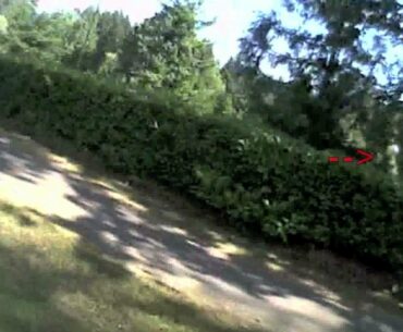 Watch for Errant Golf Balls