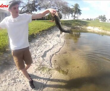 5lbers For Days! Florida Bass Fishing