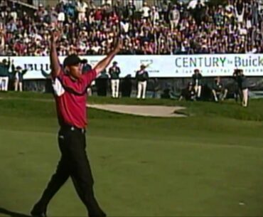 The Tiger Woods Movie