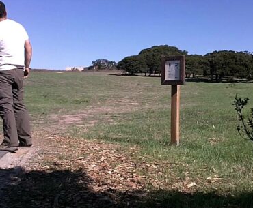 disc golf forehand ace