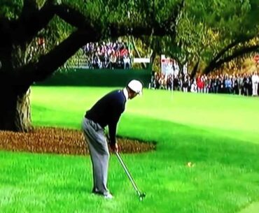 Tiger Woods World Challenge Golf Tournament 2012 16th hole FAIL
