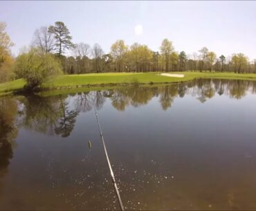 Spring Pond Bass Fishing:~ Topwater lures/Senkos Pt 3