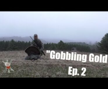 Turkey Hunting | “Gobbling Gold” Ep.2 | Wisconsin