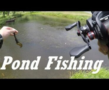 Sumertime Pond Fishing -- June 2016