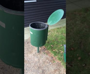 Quiz 16 (The Rules of Golf). Ball in trash bin