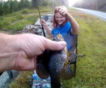 Creek Fishing Warmoth