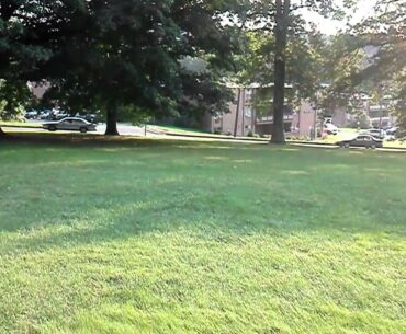 Disc golf fits perfectly in multi-use park in Manchester, CT