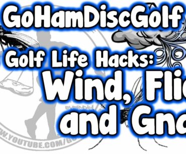 Disc Golf Life Hacks: Wind, Flies, and Gnats