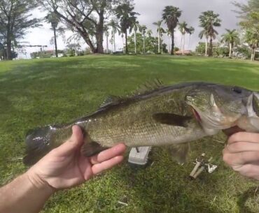 Pond Fishing In Miami FL