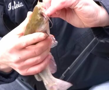 How to Catch Bullhead Catfish - Catfish Tips with Spincast Fishing Reel Tips
