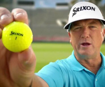 Golf Galaxy - Srixon Yellow Golf Balls