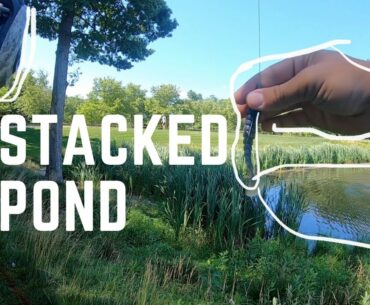 Catching Summertime BASS At GOLF COURSE Pond