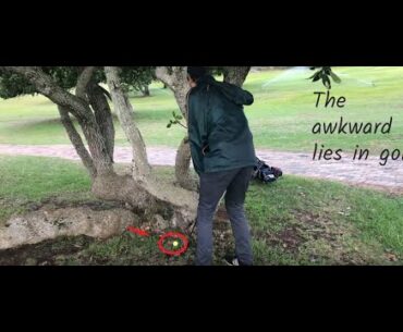 What A Golfer Can Expect!