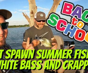 Catching White Bass and Crappie | Night Cat Fishing | Summer School Fishing