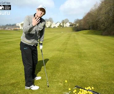 Ping i20 Irons