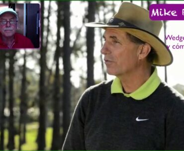 Mike Bender Los Wedges