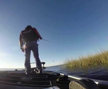 Flipping Lake Istokpoga 6.5lb Florida Bass Fishing 1.16.14